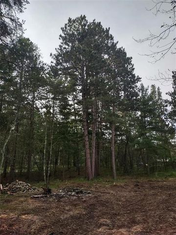 TBD Lynx Road, Barnes, WI 54837