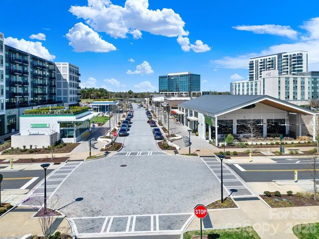 14608 Caragana Court, Charlotte, NC 28277