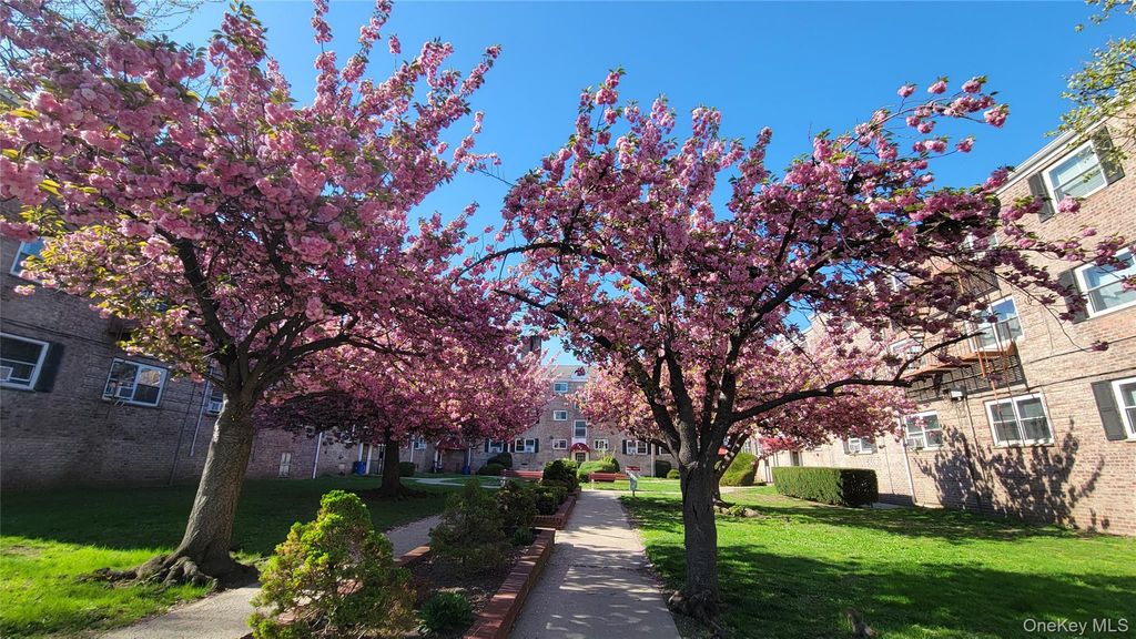 111-05 66 Avenue 1B, Forest Hills, NY 11375 — photo 2