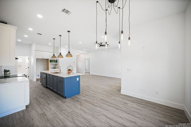 101 N John Bird, Blanco, TX 78606