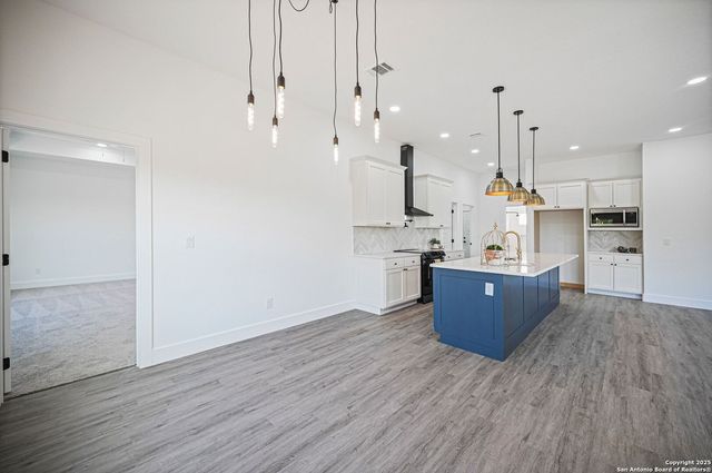 101 N John Bird, Blanco, TX 78606