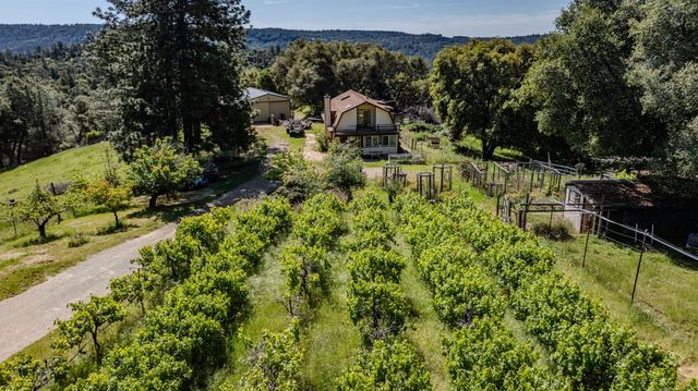 17800 Red Mule Rd, Fiddletown, CA 95629