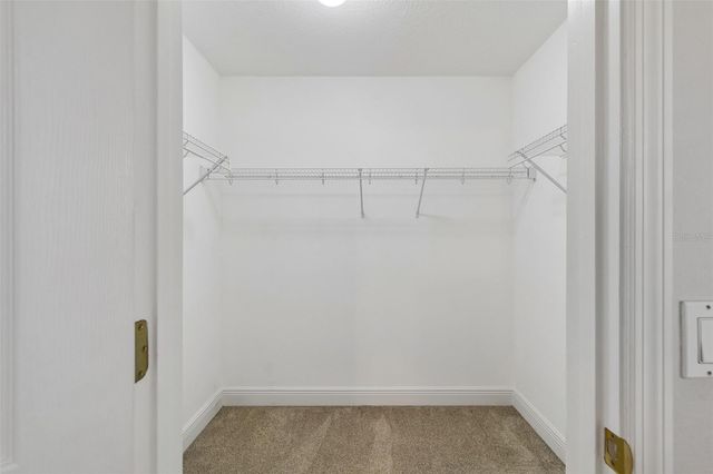 3125 SANTORINI COURT, Tampa, FL 33611