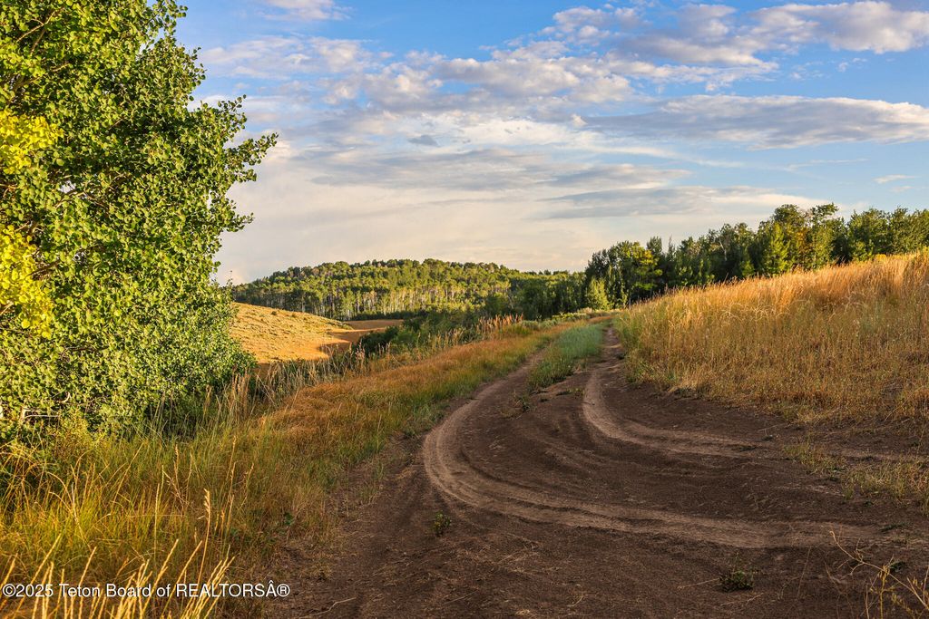 LONG HOLLOW Road, Newdale, ID 83436 photo 19