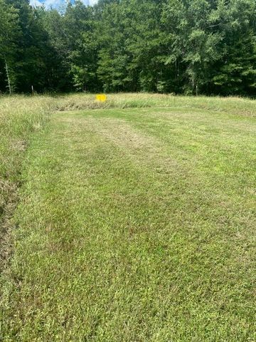 5217 Ragsdale Rd, Manchester, TN 37355