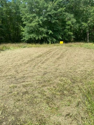 5217 Ragsdale Rd, Manchester, TN 37355