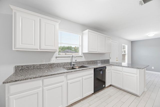 28838 Frio River Loop, Spring, TX 77386