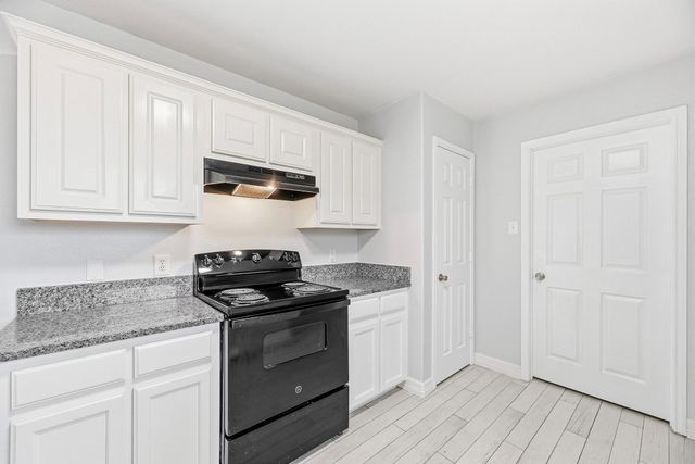 28838 Frio River Loop, Spring, TX 77386