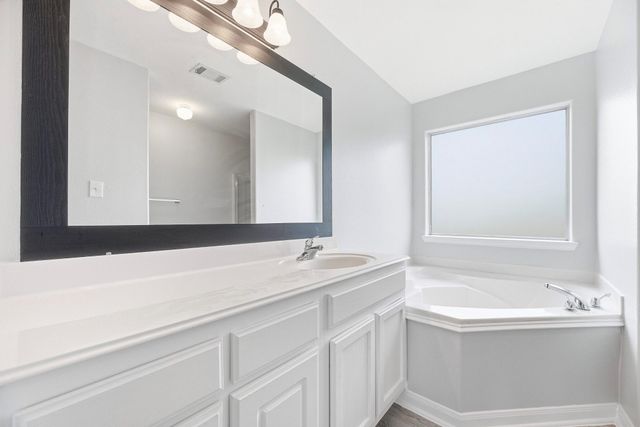 28838 Frio River Loop, Spring, TX 77386