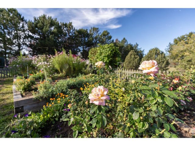 8726 Crimson Clover Ln, Longmont, CO 80503