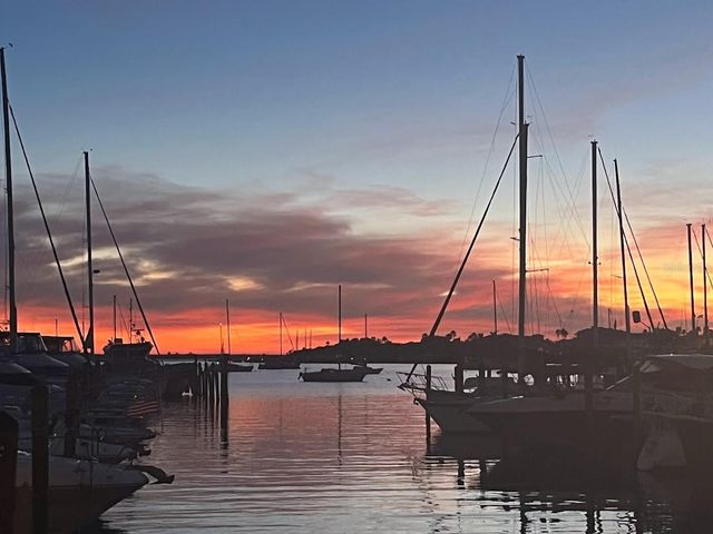 1209 APOLLO BEACH BOULEVARD, Apollo Beach, FL 33572