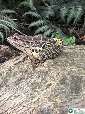 253 East Church Street, Bethlehem City, PA 18018