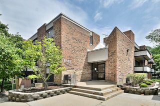 1813 Hemlock Place 306, Schaumburg, IL 60173