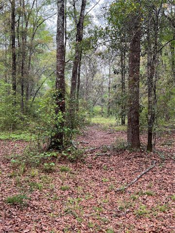 TBD Farm Road 943, Livingston, TX 77351