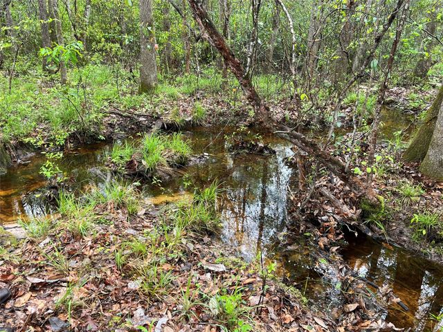 TBD Farm Road 943, Livingston, TX 77351