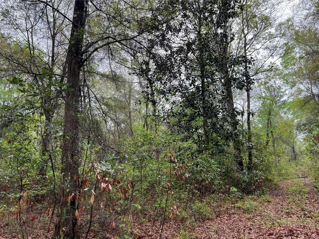 TBD Farm Road 943, Livingston, TX 77351