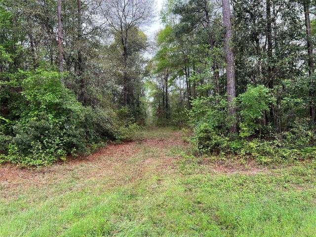 TBD Farm Road 943, Livingston, TX 77351