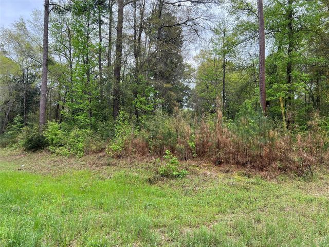 TBD Farm Road 943, Livingston, TX 77351