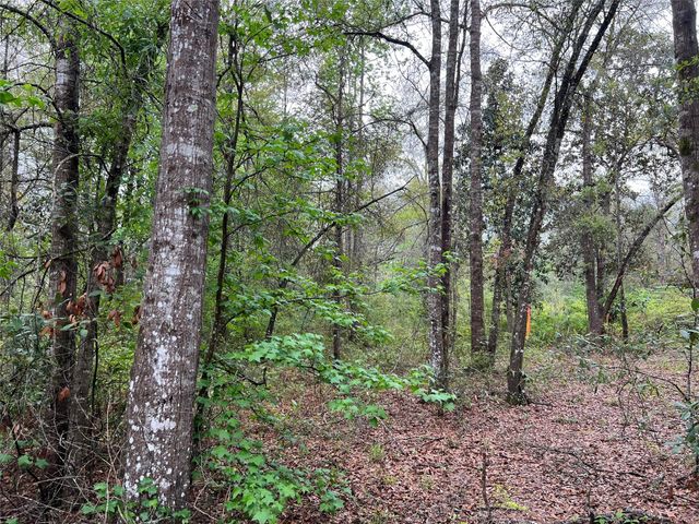 TBD Farm Road 943, Livingston, TX 77351