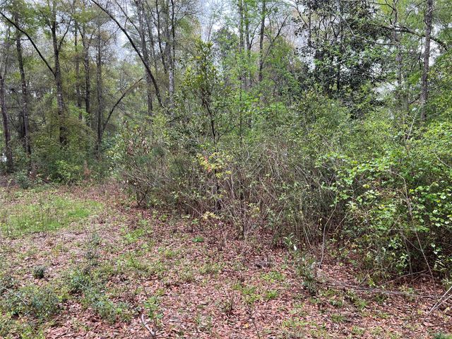 TBD Farm Road 943, Livingston, TX 77351