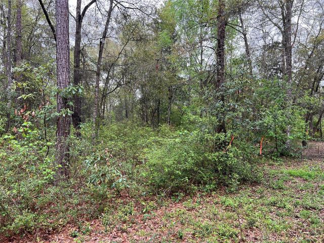 TBD Farm Road 943, Livingston, TX 77351