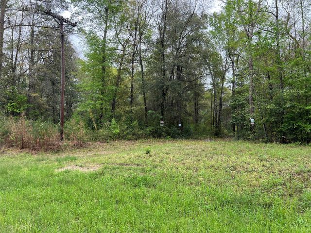 TBD Farm Road 943, Livingston, TX 77351