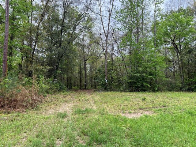 TBD Farm Road 943, Livingston, TX 77351