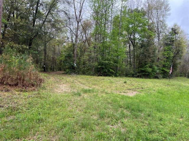 TBD Farm Road 943, Livingston, TX 77351