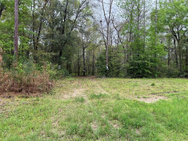 TBD Farm Road 943, Livingston, TX 77351