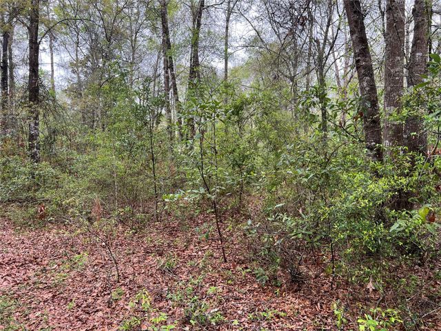 TBD Farm Road 943, Livingston, TX 77351