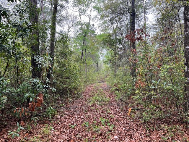 TBD Farm Road 943, Livingston, TX 77351