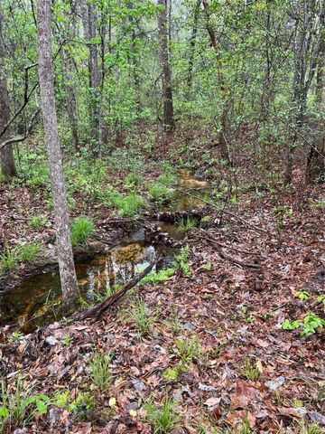 TBD Farm Road 943, Livingston, TX 77351