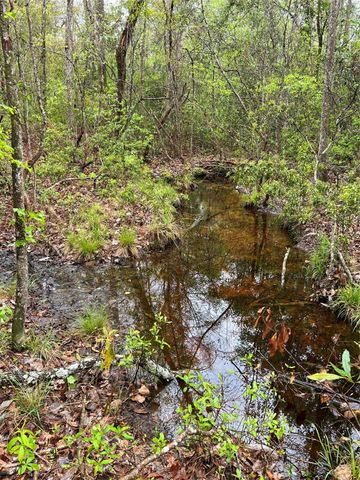 TBD Farm Road 943, Livingston, TX 77351