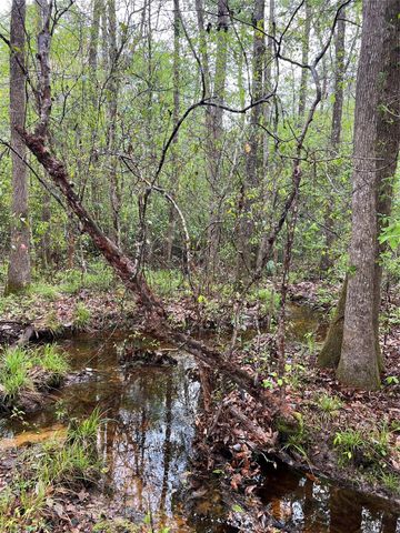 TBD Farm Road 943, Livingston, TX 77351