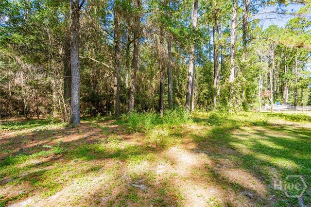 202 Possum Trot Court, Ellabell, GA 31308