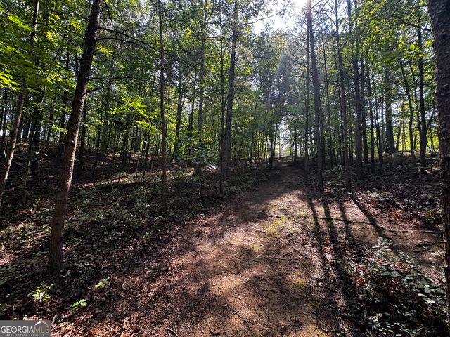 0 Rainbow Circle, Cleveland, GA 30528