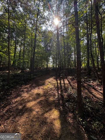 0 Rainbow Circle, Cleveland, GA 30528