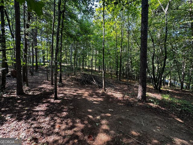 0 Rainbow Circle, Cleveland, GA 30528
