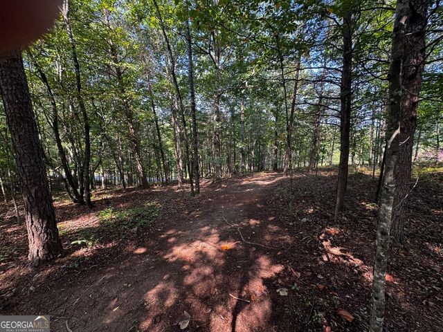 0 Rainbow Circle, Cleveland, GA 30528
