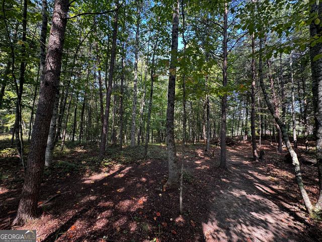 0 Rainbow Circle, Cleveland, GA 30528