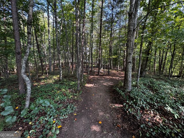 0 Rainbow Circle, Cleveland, GA 30528