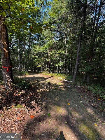 0 Rainbow Circle, Cleveland, GA 30528