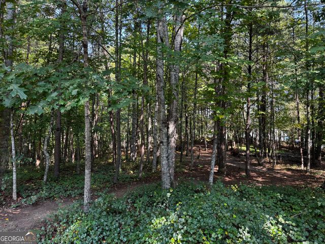0 Rainbow Circle, Cleveland, GA 30528