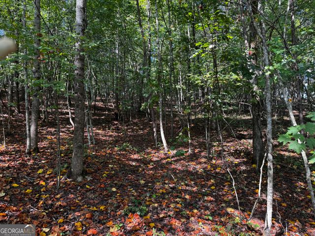 0 Rainbow Circle, Cleveland, GA 30528
