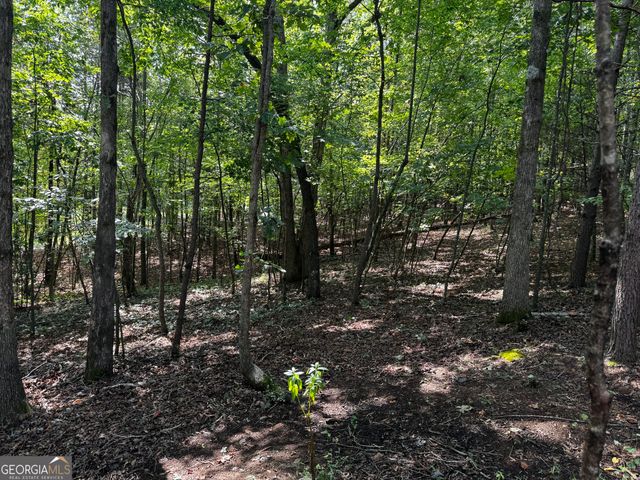 0 Rainbow Circle, Cleveland, GA 30528