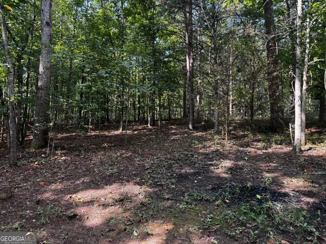 0 Rainbow Circle, Cleveland, GA 30528