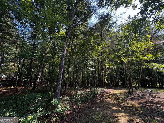 0 Rainbow Circle, Cleveland, GA 30528