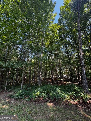 0 Rainbow Circle, Cleveland, GA 30528