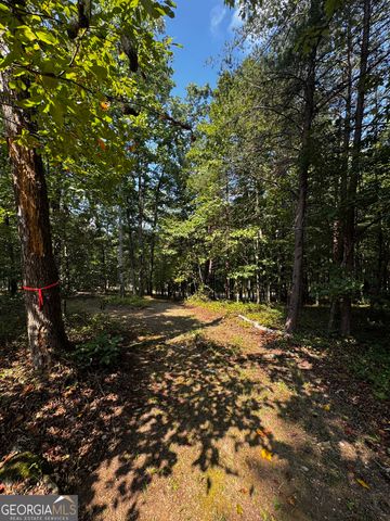 0 Rainbow Circle, Cleveland, GA 30528