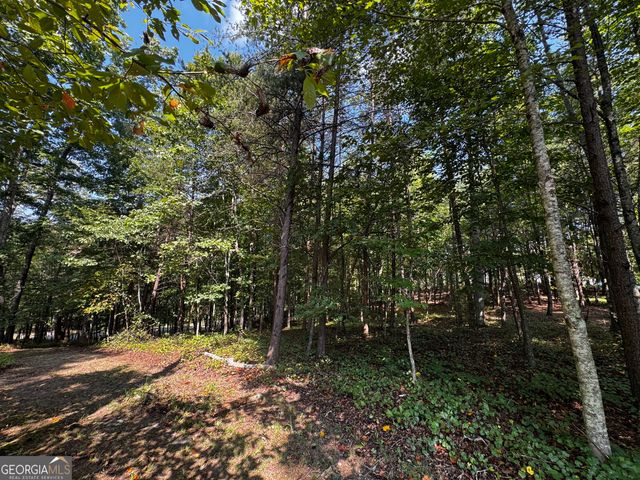 0 Rainbow Circle, Cleveland, GA 30528